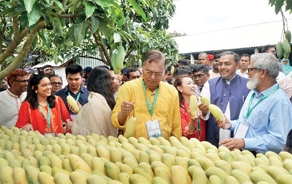 চাঁপাইনবাবগঞ্জে ১৩ রাষ্টদূতের আমবাগান পরিদর্শন