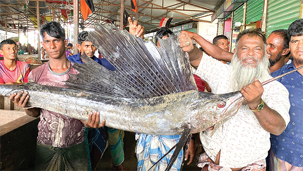 জেলের জালে ধরা পড়ল ২৫ কেজির পাখি মাছ