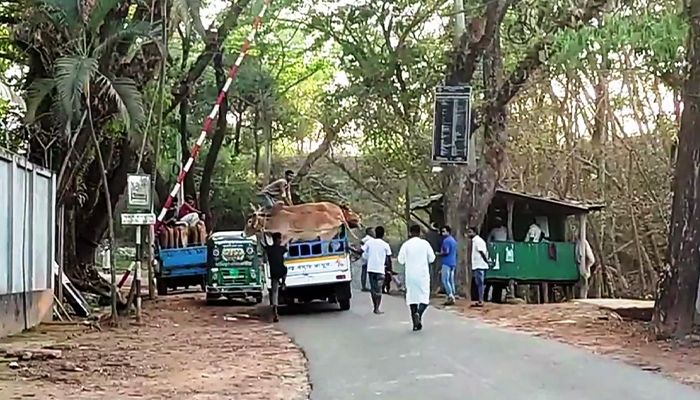 নাইক্ষ্যংছড়িতে সরকারী জায়গা দখল করে টোল পয়েন্ট