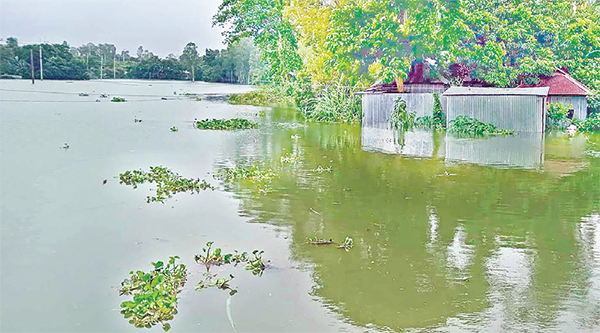 উত্তরে বাড়ছে পানি, কাঁদছে মানুষ