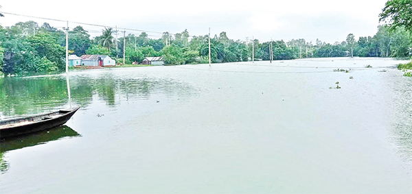 বন্যা পরিস্থিতি অপরিবর্তীত  ত্রাণসামগ্রী বিতরণ শুরু