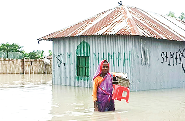 বন্যা মোকাবিলায় প্রকৃতিনির্ভর সমাধান কেন জরুরি