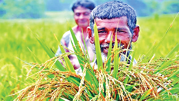 স্বনির্ভরতা প্রকৃত সফলতা