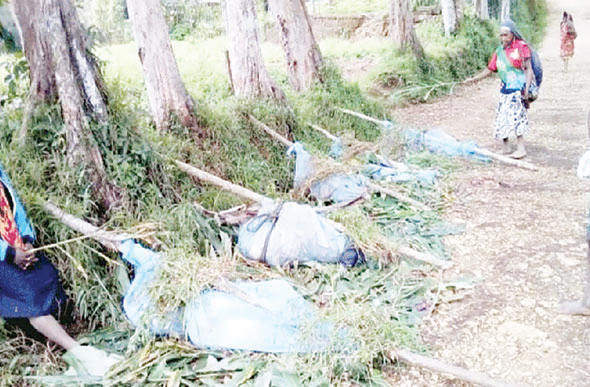 পাপুয়া নিউ গিনিতে হামলায় শিশুসহ নিহত ২৬