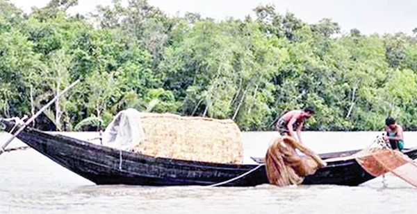 সুন্দরবন পশ্চিম কোবাদক স্টেশনের সহযোগিতায় মাছ শিকার