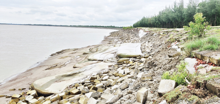 ২৯৩ কোটি টাকার বেড়িবাঁধ ধসে গেল পানিতে