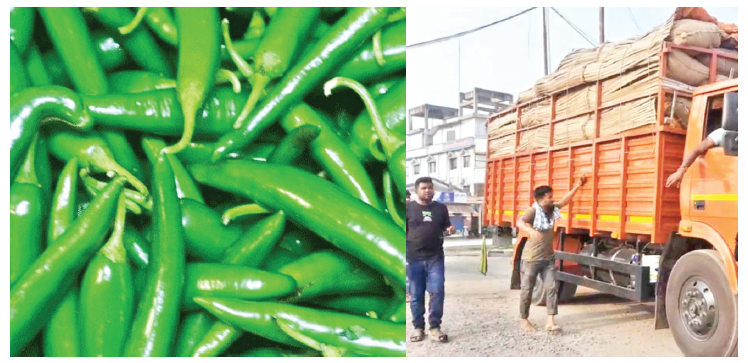 হিলি স্থলবন্দরে রেকর্ড পরিমাণে কাঁচামরিচ আমদানি