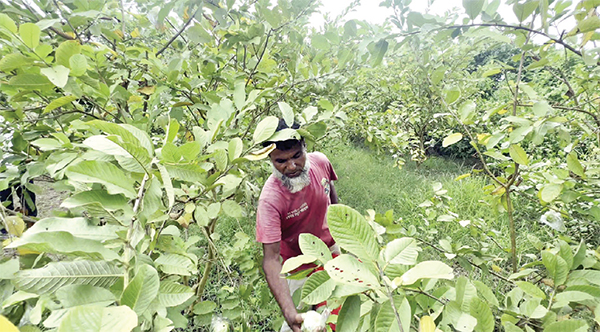 উদ্যোক্তাদের এগিয়ে যাওয়ার নতুন সম্ভাবনা