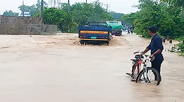 টানা বর্ষণ ও পাহাড়ি ঢলে মাছ ও কৃষির সর্বনাশ