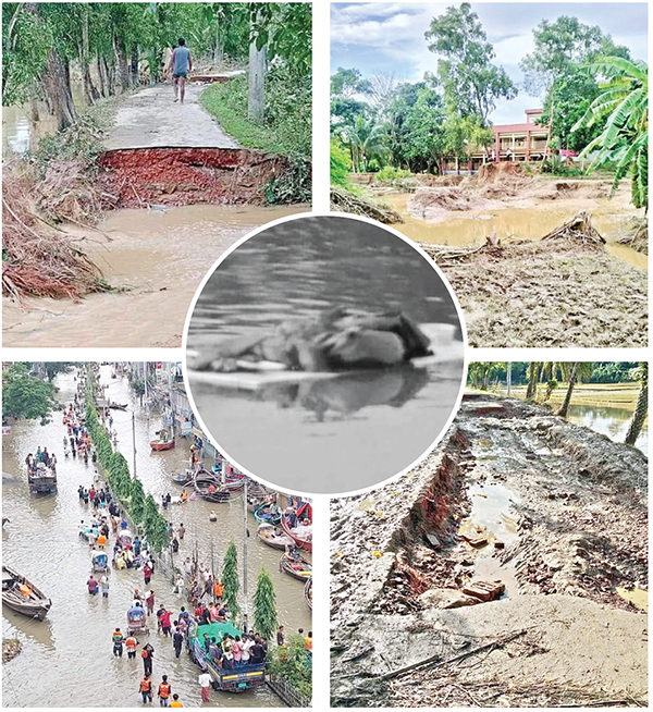 প্রাণিসম্পদের ক্ষতি ৩৯১ কোটি টাকা