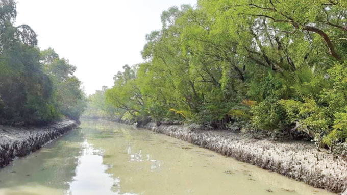 টানা ৩ মাস বন্ধের পর খুলছে সুন্দরবন