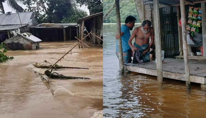 বন্যায় প্রাণহানি বেড়ে ৬৭