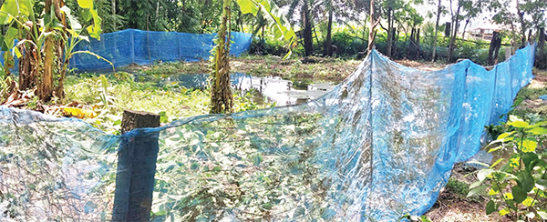 আদালতের নির্দেশ অমান্য করে জমি দখলের অভিযোগ