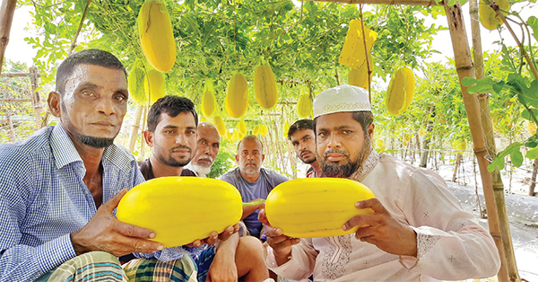 অসময়ে তরমুজ চাষে আব্দুস ছালামের চমক