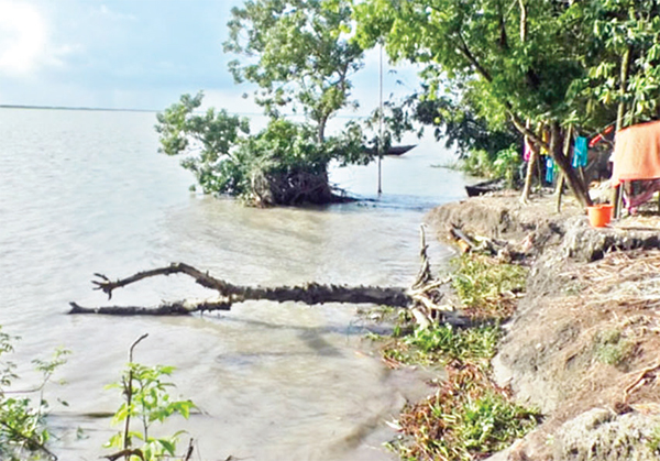 বন্যা নিয়ন্ত্রণ বেড়িবাঁধ ভাঙন