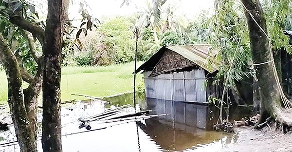 লক্ষ্মীপুরে ১৮ হাজারের বেশি ঘরবাড়ি বন্যায় ক্ষতিগ্রস্ত