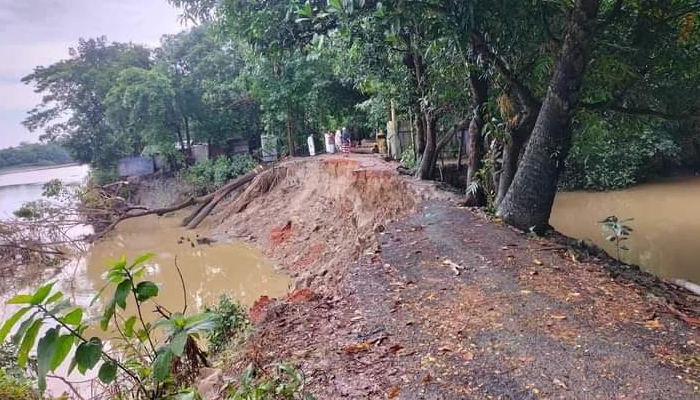 সোনাগাজীতে নদী ভাঙনে বিলীন হচ্ছে বসতভিটা-রাস্তাঘাট