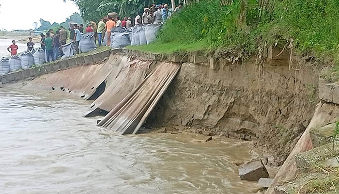 সিরাজগঞ্জে নদীর তীর সংরক্ষণ বাঁধে ৭০ মিটার জুড়ে ধস