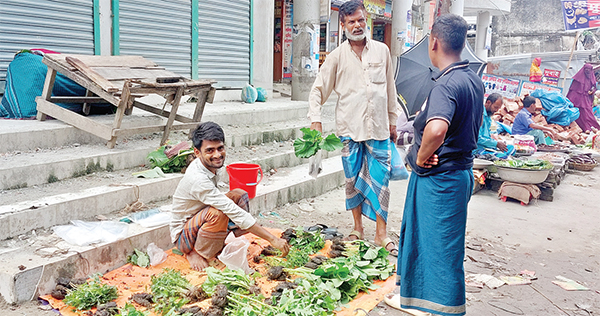 সবজির চারা বিক্রি করে সংসার চালান তারা