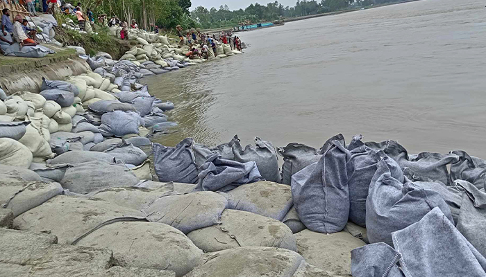 যমুনা নদীর তীর সংরক্ষণ বাঁধে তীব্র ভাঙন নিয়ন্ত্রণে 