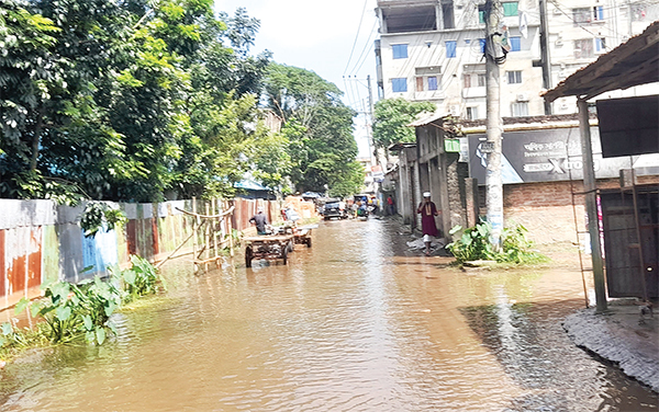 চলাচলের অনুপযোগী গ্রামীণ সড়ক-মহাসড়ক