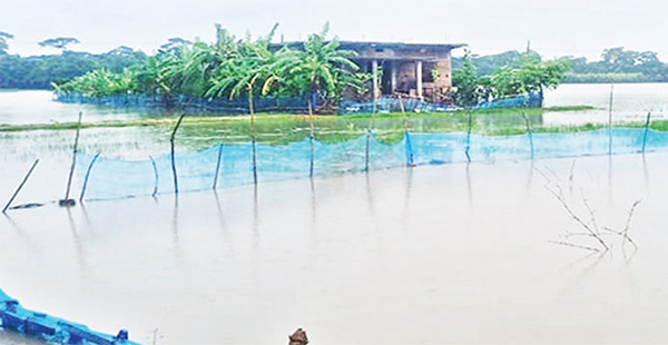 টানা বর্ষণে সুন্দরবনের উপকূলে ৫০ কোটি টাকার ক্ষতি