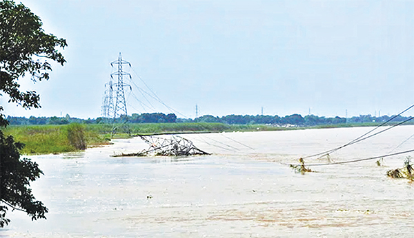 কুষ্টিয়ায় পদ্মার ভয়াবহ ভাঙন