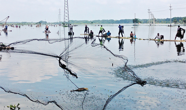 কেশবপুরে বন্যায় মৎস্য খাতে ব্যাপক ক্ষতি