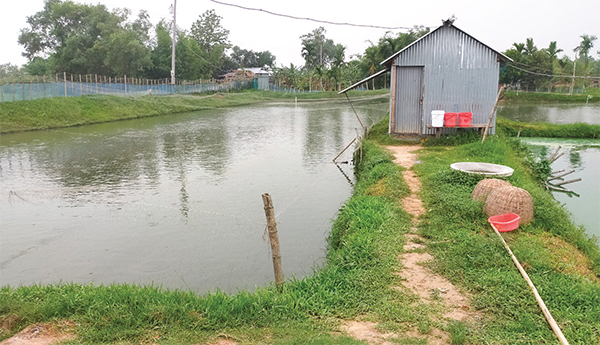 মাছ চাষে পাল্টে যাচ্ছে পাহাড়ি জনপদ