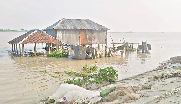 ভাঙন আতঙ্কে দৌলতপুরের পদ্মা পাড়ের মানুষ