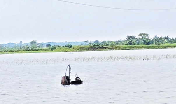 জলাবদ্ধতায় ফসলের ব্যাপক ক্ষতি, খাল সংস্কারের দাবি