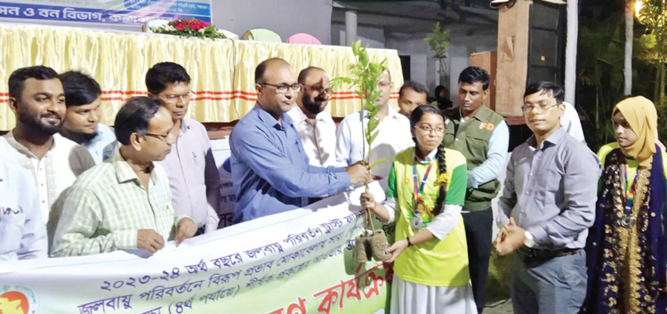 কক্সবাজারে বৃক্ষমেলায় ৩৫ লাখ টাকার চারা বিক্রি