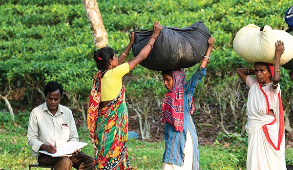 অধিকার বঞ্চিত নির্মাণ, চা ও ঘের শ্রমিকরা