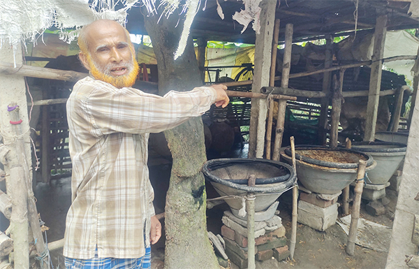 এক রাতে ৯ গরু চুরি খামারিদের মাঝে আতঙ্ক