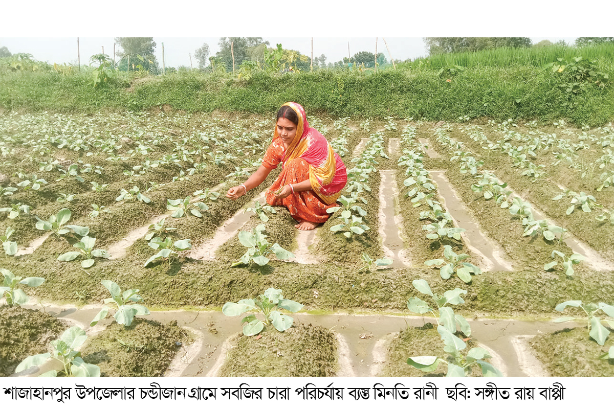 কৃষি কাজে বাড়ছে নারীদের অবদান