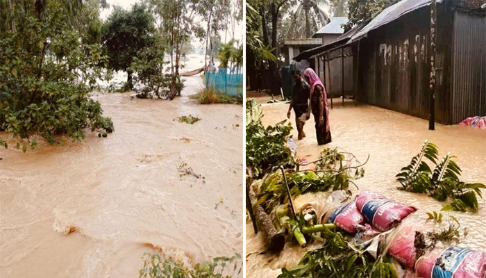 শেরপুরে পাহাড়ি ঢলে মহারশি নদীর বাঁধ ভেঙে নিচু এলাকা প্লাবিত