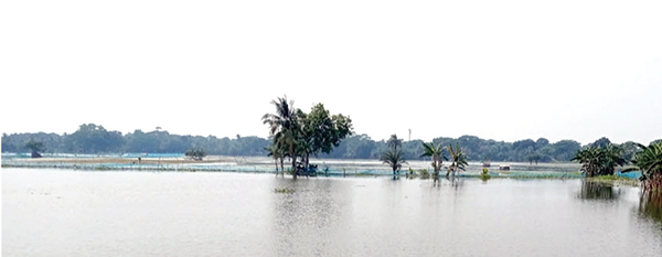 জলাবদ্ধ শতাধিক গ্রাম