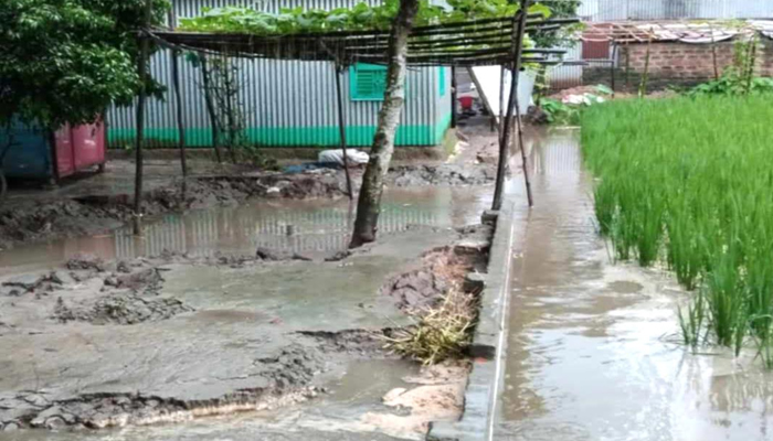 সিরাজগঞ্জে বর্ষণে রাস্তাঘাটসহ ঘরবাড়ির ক্ষতি