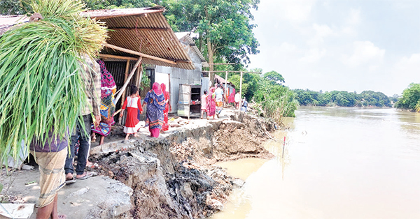 তিতাসে বন্যায় ৫৬ কোটি টাকার ক্ষয়ক্ষতি