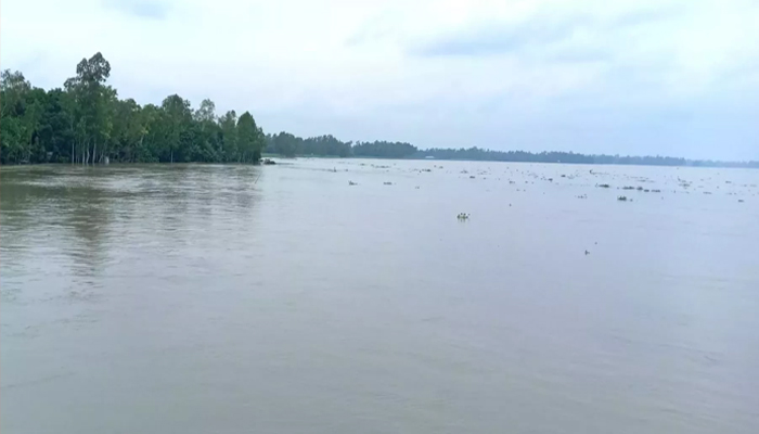 যমুনায় পানি বৃদ্ধি: তলিয়ে গেছে ফসলি জমি 