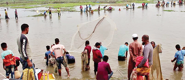 বুড়ির বাঁধে মাছ ধরা উৎসব শুরু