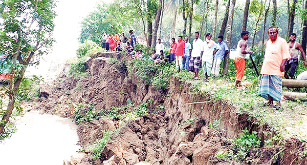 কুষ্টিয়ায় পদ্মার ভাঙনে বিলীন ৭২৮ মিটার বেড়িবাঁধ