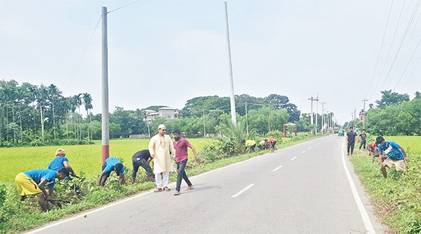 স্বেচ্ছাশ্রমে সড়কের পাশের ঝোপঝাড় পরিষ্কার