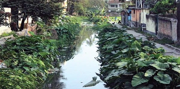 রংপুরে দখলে-দূষণে শ্যামাসুন্দরী খাল