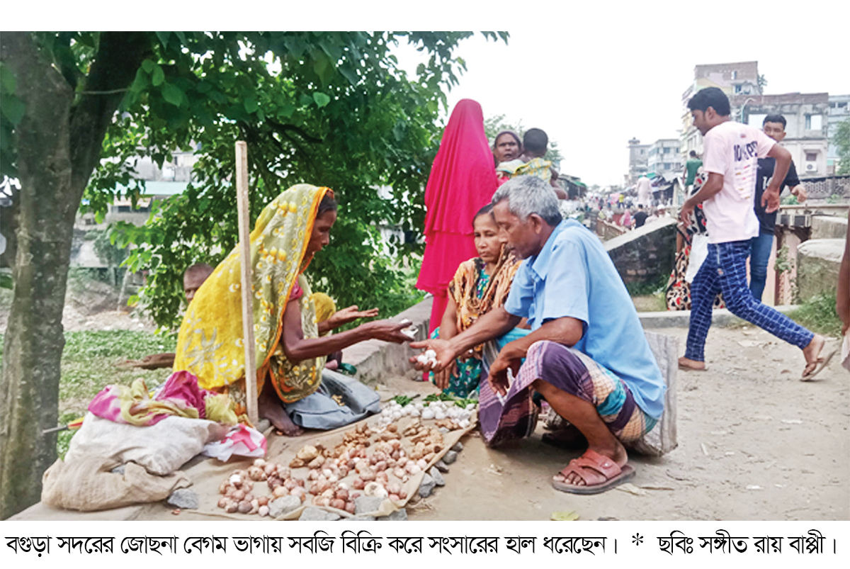 বয়সে থেমে নেই দায়িত্ব, সবজি বিক্রি করে সংসার চলে জোছনার