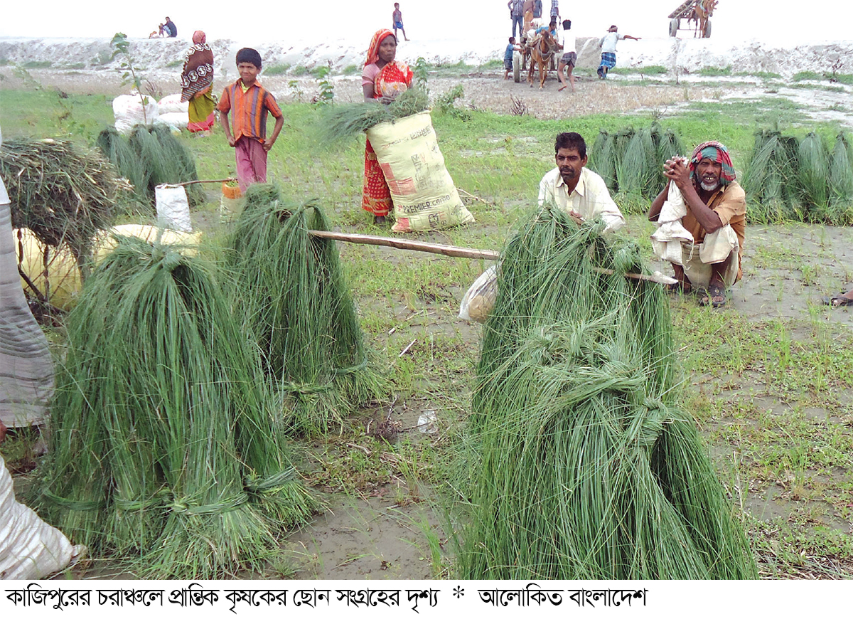 ছনপাতায় জীবিকা