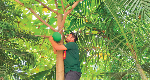 পাখি রক্ষায় গাছে গাছে মাটির হাঁড়ি