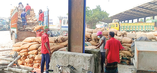 বেনাপোল বন্দরে শুঁটকি মাছের চালান জব্দ