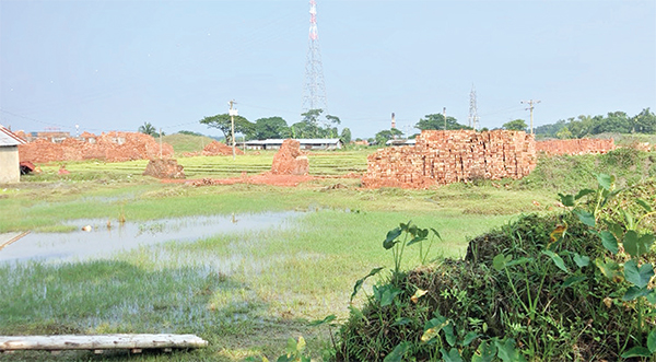 আদালতের আদেশ অমান্য করে ইট বিক্রির অভিযোগ