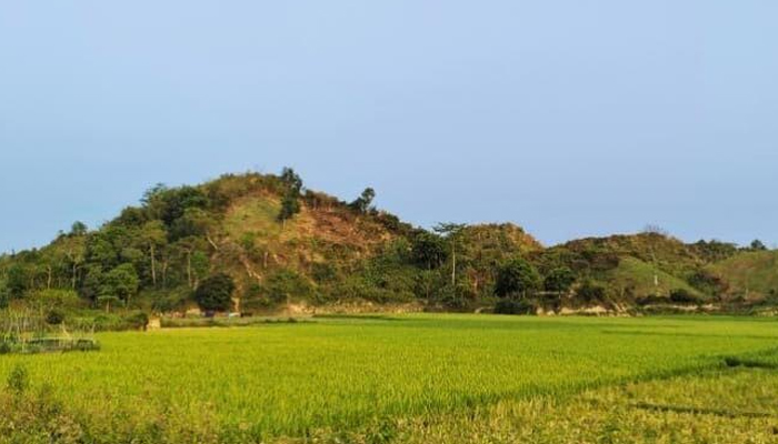 টেকনাফে দুই রোহিঙ্গাসহ ৯ কৃষক অপহরণ